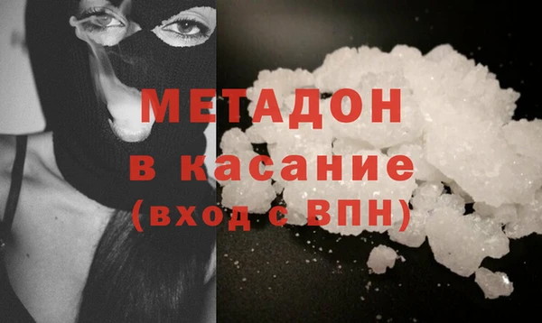 хмурый Аркадак