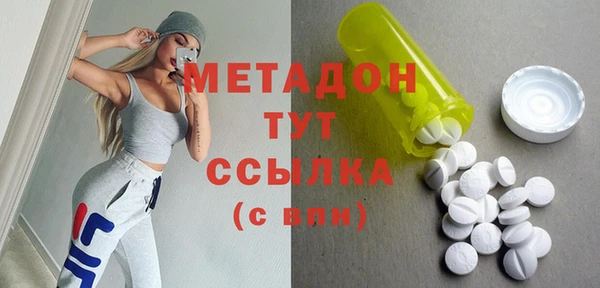 хмурый Аркадак