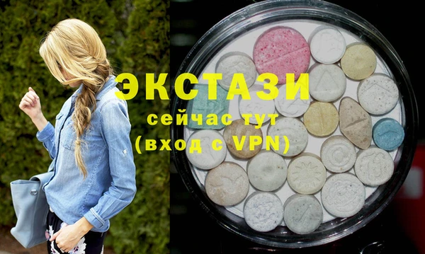 хмурый Аркадак