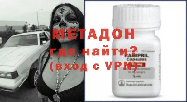 хмурый Аркадак