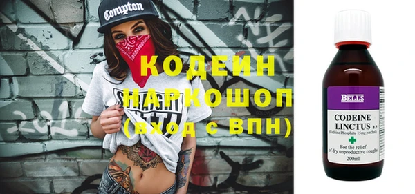 хмурый Аркадак