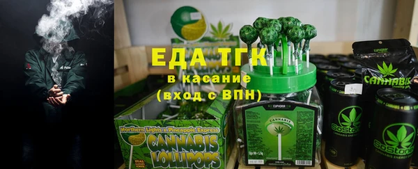 хмурый Аркадак