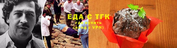 хмурый Аркадак