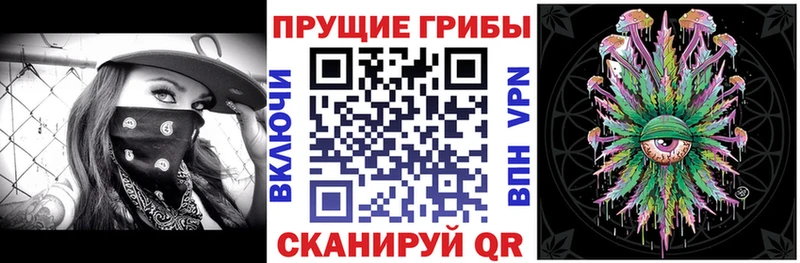 дарнет шоп  mega онион  Псилоцибиновые грибы Magic Shrooms  Сафоново 